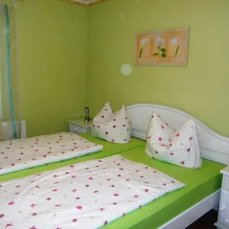 Apartment In The 